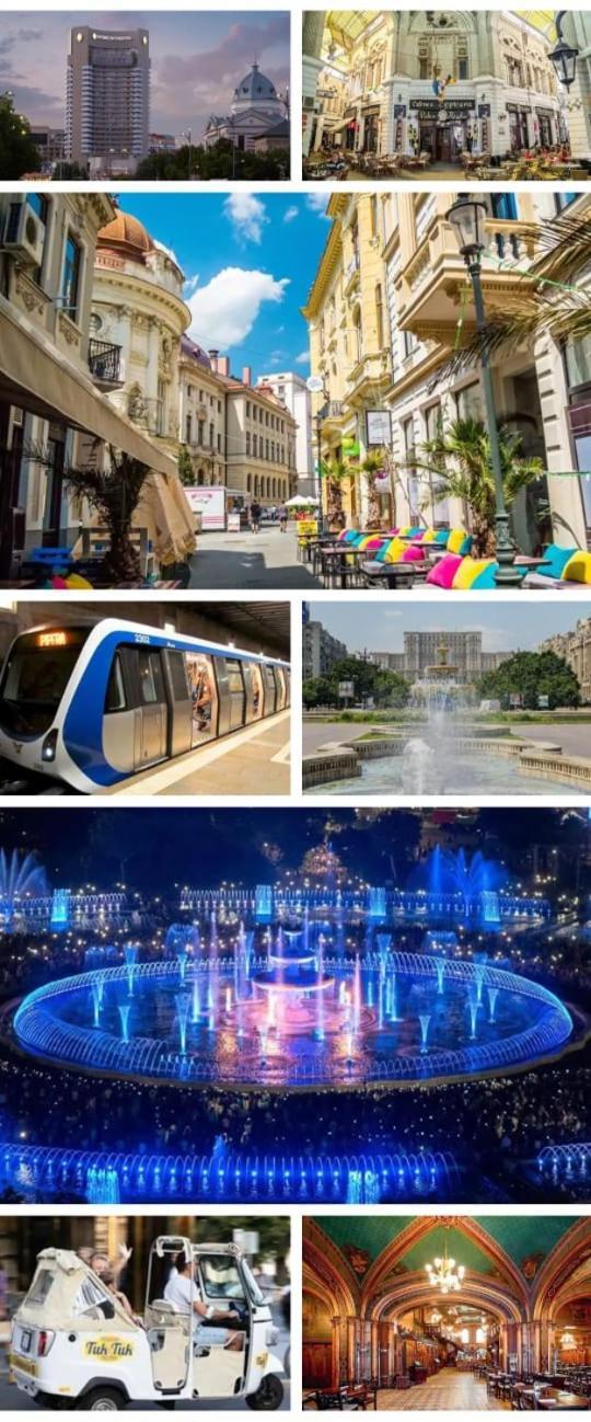 Central Old City Center Studio Universitate Coltea - Cav9 بوخارست المظهر الخارجي الصورة